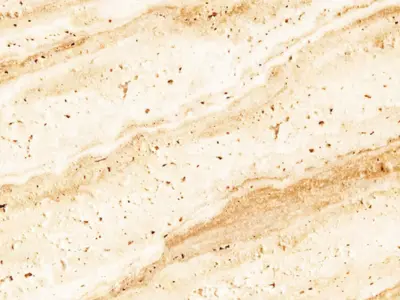 Gold Granite By Atina Countertops